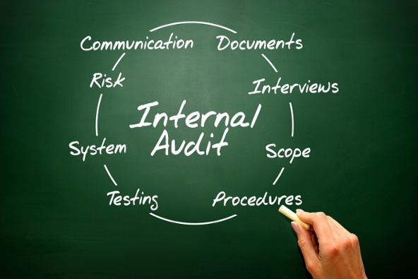 The Internal Audit Process